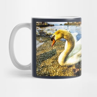 Shy Windermere Swan Mug